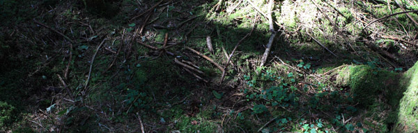 this is where the geocache has been placed by PMC Ciphers